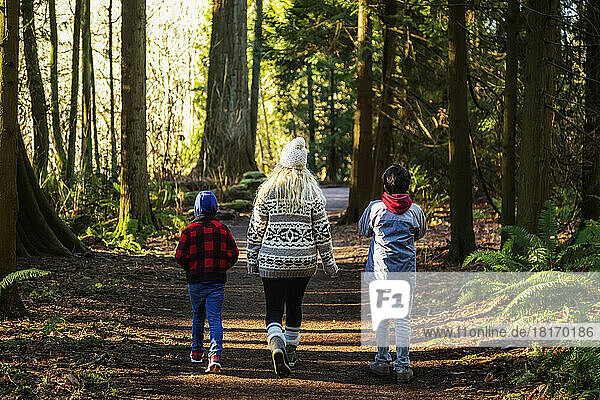 A mother and two sons walking on a trail in a forest in autumn; Langley  British Columbia  Canada