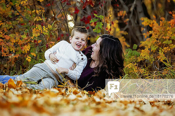 Eine Mutter verbringt viel Zeit mit ihrem kleinen Sohn und spielt mit ihm in einem Stadtpark im Herbst; Edmonton  Alberta  Kanada