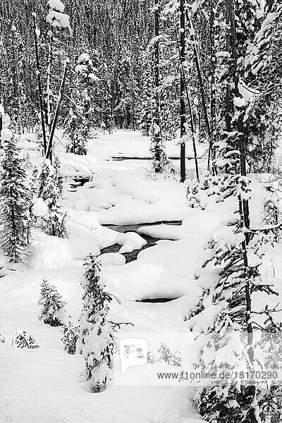 Black and white image of a partially frozen stream in Banff National Park during the winter; Banff  Alberta  Canada