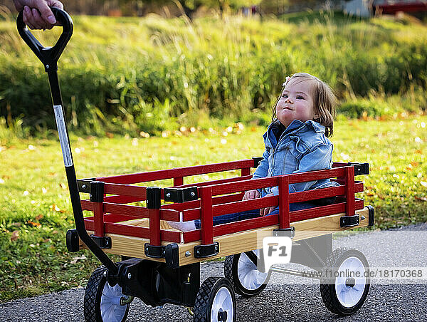 A mother pulling her baby with Down Syndrome in a wagon in a city park during the fall season; St  Albert  Alberta  Canada