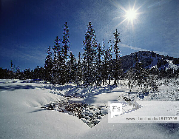 Snow and sunburst on Mount Hood  Mount Hood National Forest  Oregon  USA; Oregon  United States of America