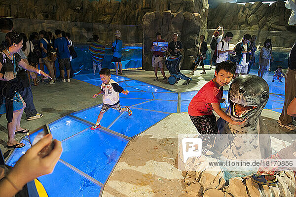 Tourists visit the South Pole Spectacular section of Polar Adventure at Ocean Park in Hong Kong; Hong Kong  China