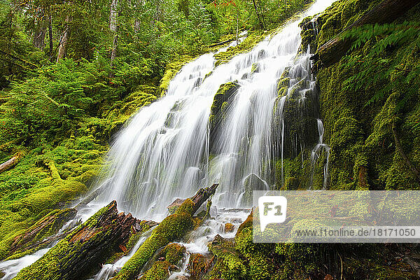 Beautiful cascading Proxy Falls in Willamette National Forest; Oregon  United States of America
