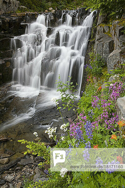 Wildblumen und Sunbeam Falls im Mount Rainier National Park  Washington  USA; Washington  Vereinigte Staaten von Amerika
