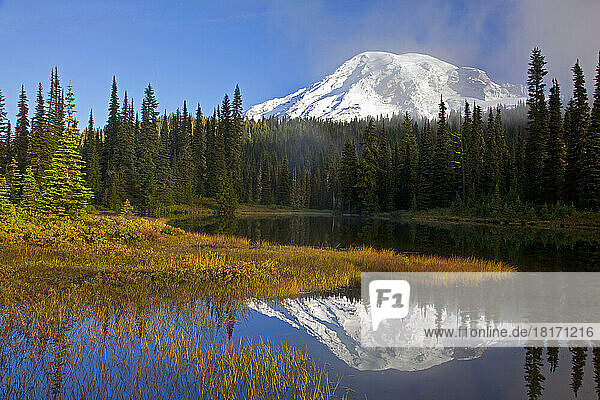 Mount Rainier und Wald spiegeln sich in einem ruhigen See im Mount Rainier National Park; Washington  Vereinigte Staaten von Amerika