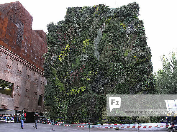 Vertikaler Garten überragt Fußgänger im CaixaForum in Madrid; Madrid  Spanien