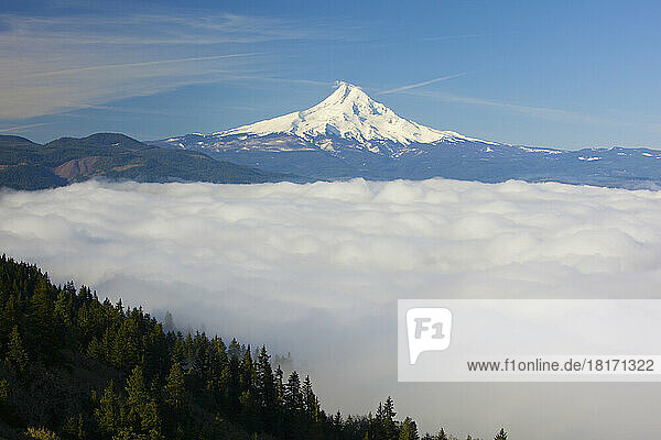 Blauer Himmel hebt den schneebedeckten Mount Hood hervor und Wolken bedecken das Hood River Valley  Oregon  USA; Oregon  Vereinigte Staaten von Amerika