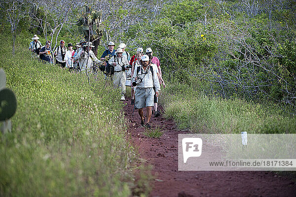 A group of tourists venture along a walking trail on Rabida Island in Galapagos National Park. All guests must stay with guide and on trails at all time to lessen the impact on the habitat within the park; Rabida Island  Galapagos Islands National Park  Galapagos Islands  Ecuador.