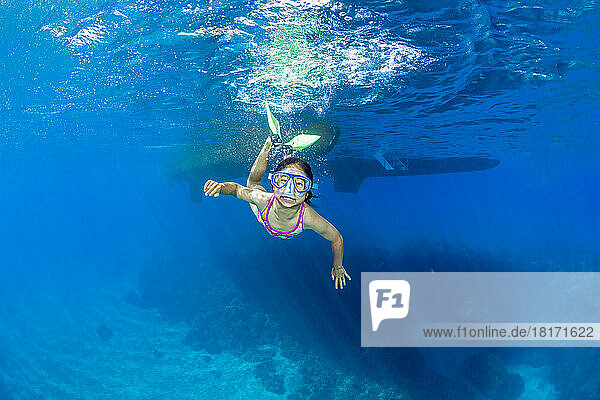 Young girl free diving over a reef in Hawaii; Hawaii  United States of America