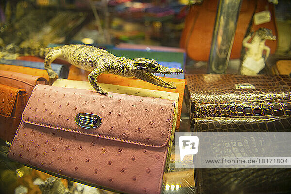 Souvenirs aus Krokodilarten werden auf dem Flughafen von Hanoi in Vietnam verkauft; Hanoi  Vietnam
