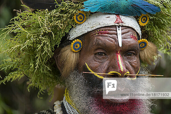 Stammesangehöriger einer Huli-Gemeinschaft im Tari-Tal im südlichen Hochland von Papua-Neuguinea; Tigibi  südliches Hochland  Papua-Neuguinea
