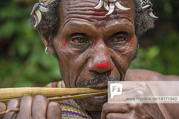 Huli tribe member in the Tari Valley area of Papua New Guinea’s Southern Highlands; Tigibi  Southern Highlands  Papua New Guinea