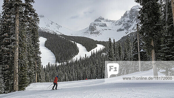 Cross-country skiing at a ski resort in Banff National Park  Alberta  Canada; Improvement District No. 9  Alberta  Canada