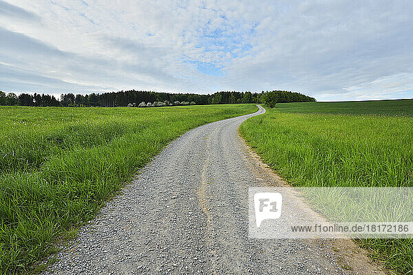 Winding Gravel Road in Countryside in Spring  Reichartshausen  Amorbach  Odenwald  Bavaria  Germany