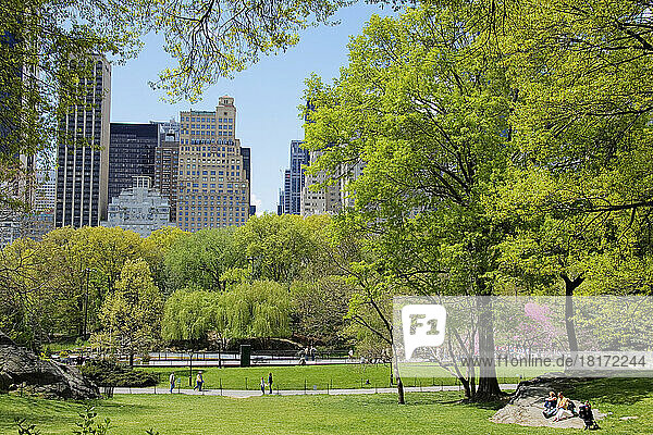 Central Park in Spring  NYC  New York  USA