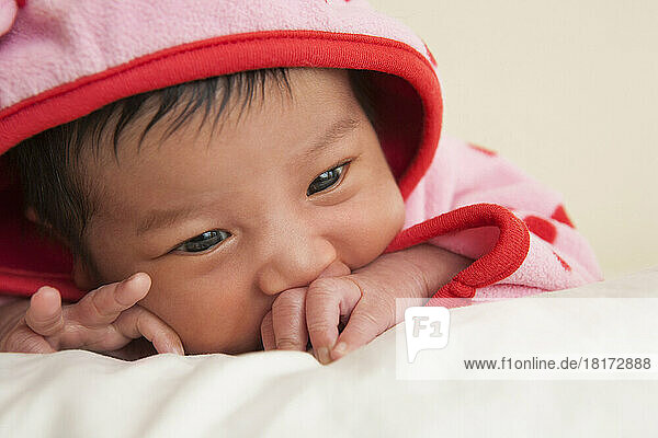 Close-up portrait of two week old Asian baby girl in pink polka dot hooded jacket  studio shot