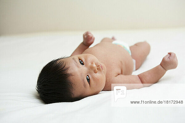 Newborn Asian baby in diaper  looking up at camera  studio shot on white background