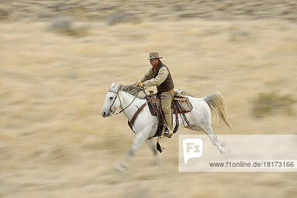 Blurred motion of cowboy on horse galloping in wilderness  Rocky Mountains  Wyoming  USA