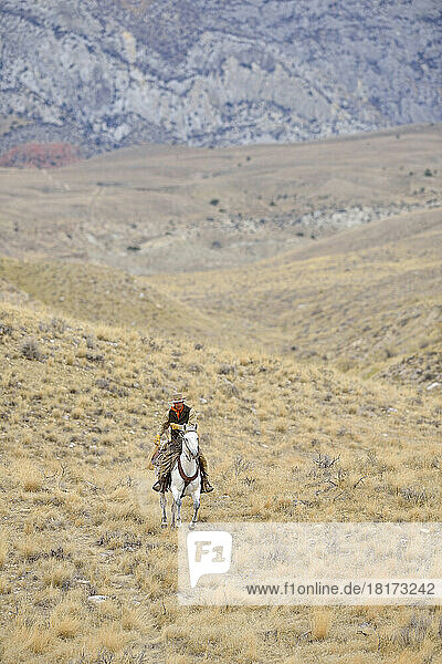Cowboy riding horse in wilderness  Rocky Mountains  Wyoming  USA