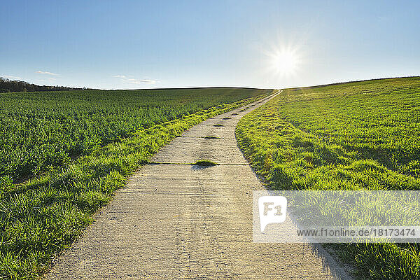 Road through Field with Sun  Helmstadt  Franconia  Bavaria  Germany