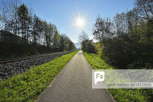 Cycle Path with Sun in Spring  Faulbach  Churfranken  Spessart  Miltenberg-District  Bavaria  Germany