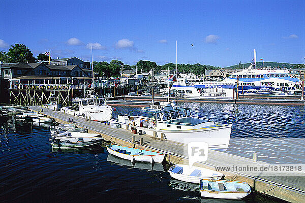Dock in Harbor  Mount Desert Island  Maine  USA