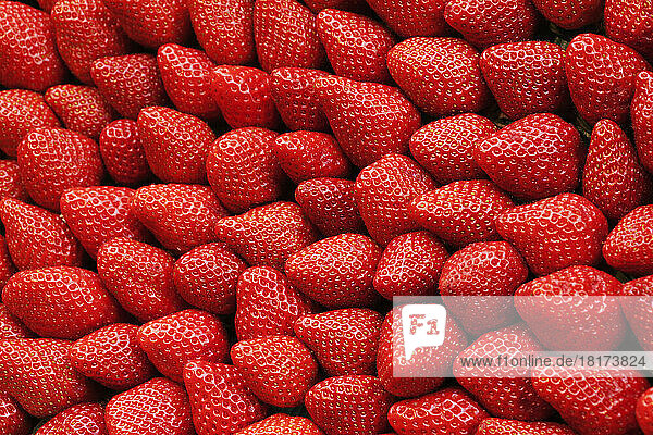 Strawberries  Rue Cler Market  7th Arrondissement  Paris  Ile-de-France  France