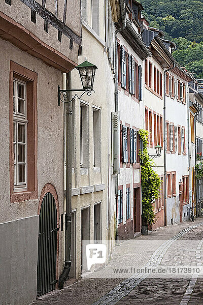 Historic Buildings in Pedestrian Area of Old Town  Heidelberg  Germany