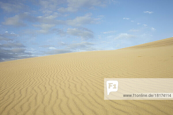 Ripples in Sand Dune  Dune du Pilat  Arcachon  France