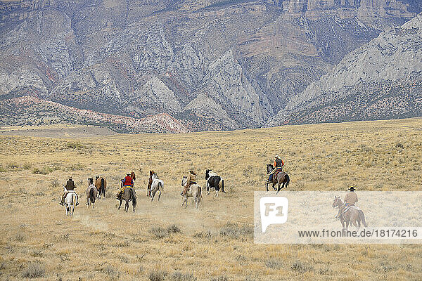 Cowboys herding horses in wilderness  Rocky Mountain  Wyoming  USA