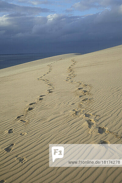 Footprints on Sand Dune  Dune du Pilat  Arcachon  France