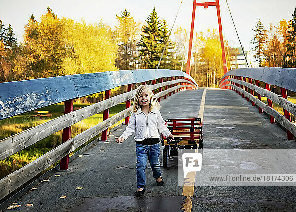 Young girl pulling her wagon across a bridge over a river in a city park during the fall season; St. Albert  Alberta  Canada