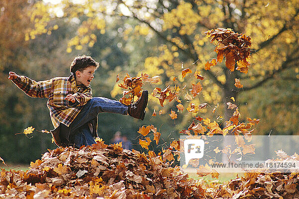 Boy Playing in Leaves