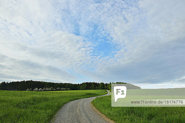 Winding Gravel Road in Countryside in Spring  Reichartshausen  Amorbach  Odenwald  Bavaria  Germany