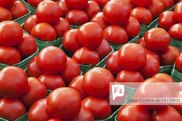 Tomatoes at Farmer's Market  Byward Market  Ottawa  Ontario  Canada