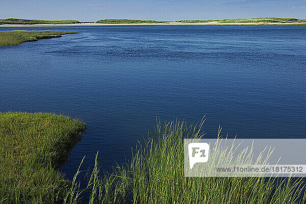 Overview of Wetlands  Gray's Beach  Yarmouth  Cape Cod  Massachusetts  USA