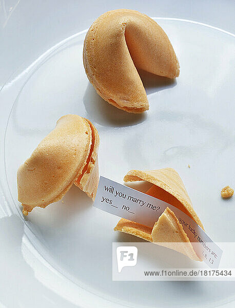 Close-up of fortune cookies on white plate  showing text for marriage proposal  studio shot