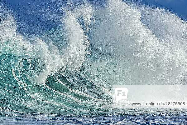 Big dramatic wave in the Pacific Ocean at Oahu  Hawaii  USA