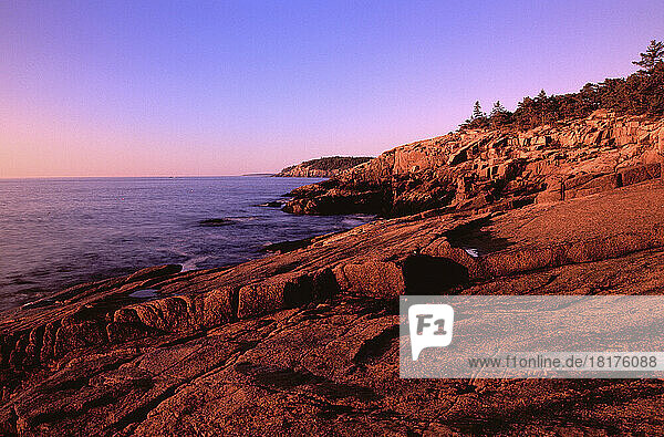 Coastline At Sunrise  Acadia National Park  Maine  USA