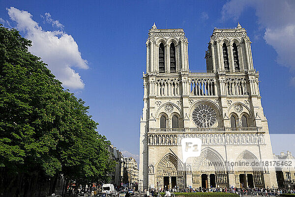 Notre Dame Cathedral  Ile de la Cite  Paris  France