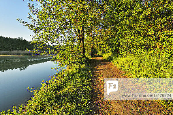 Path by River in Morning in Spring  Niedernberg  Miltenberg District  Churfranken  Franconia  Bavaria  Germany