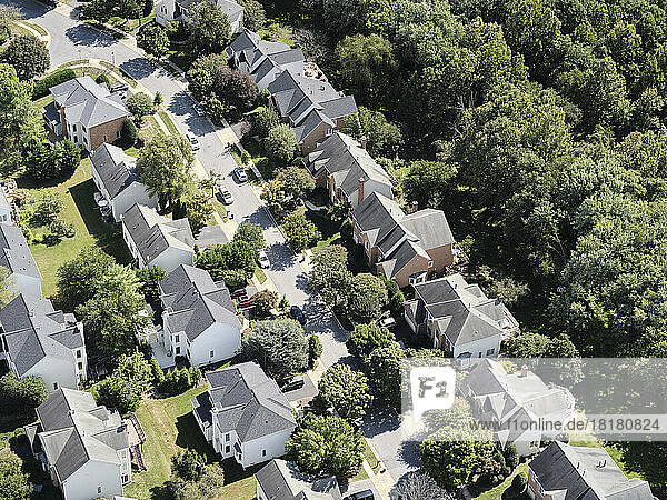 USA  Virginia  Leesburg  Aerial view of suburban houses