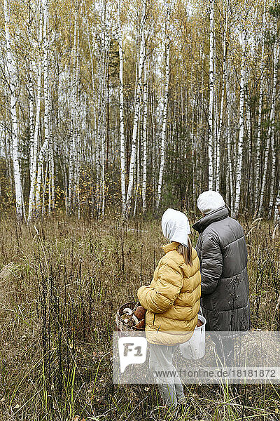 Ältere Frau mit Enkelin sammelt Pilze im Wald