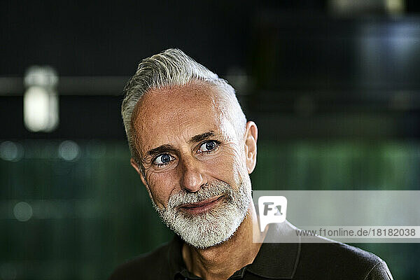 Thoughtful mature man with gray hair and beard