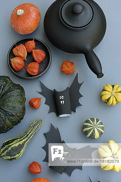 Studio shot of various autumnal pumpkins  gourds and paper craft Halloween bats