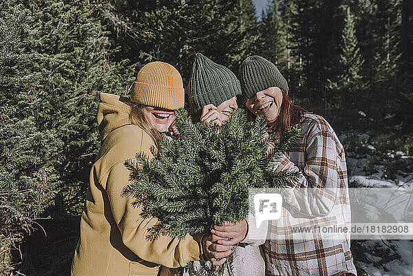 Happy friends holding twigs of spruce tree and covering eyes with knit hats in forest