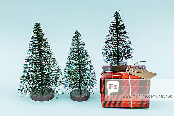 Christmas trees with red gift box against blue background