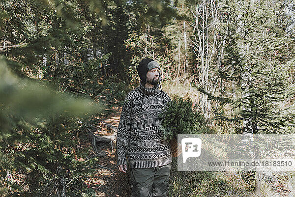Thoughtful man with basket of spruce tree twigs walking in forest