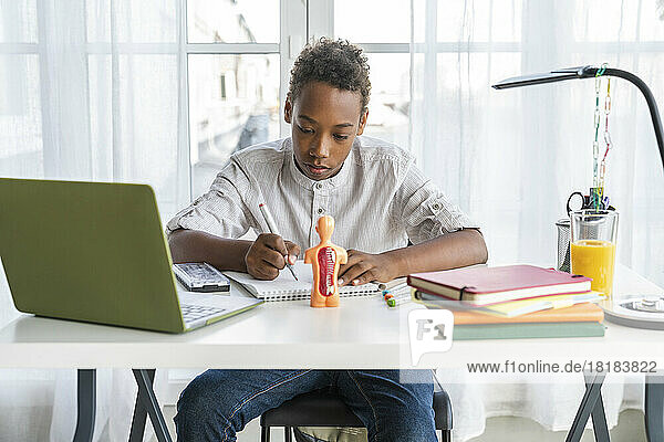 Boy doing homework sitting on table at home
