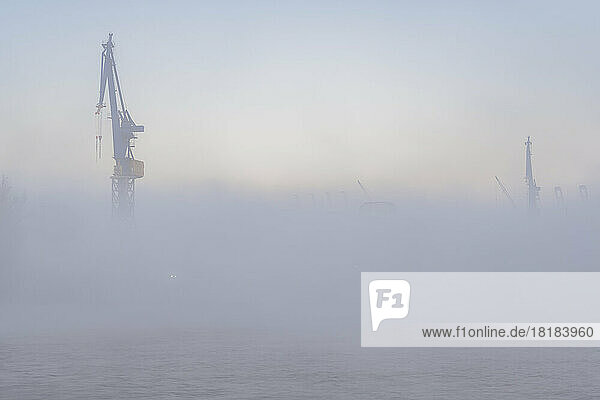 Germany  Hamburg  Harbor cranes shrouded in thick fog